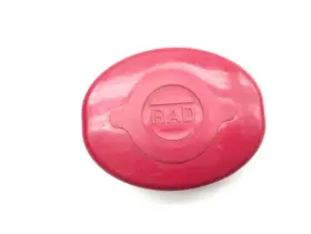 237154 BOMBARDIER Radiator Cap Access Cover Panel Automatic #2
