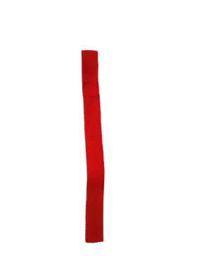 WA010 TRAILFX Tfx Winch Hook Strap