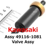 New Kawasaki Genuine Valve Assy 49116-1081 Direct From Japan. Fixed Price $103.99.
