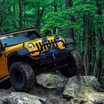 Mishimoto Bnwn-12-spk Borne 12k Winch W/pink Synthetic Rope. Fixed Price $657.46.